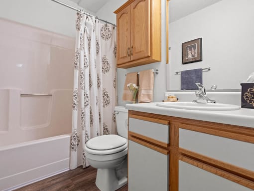 a bathroom with a sink toilet and a shower