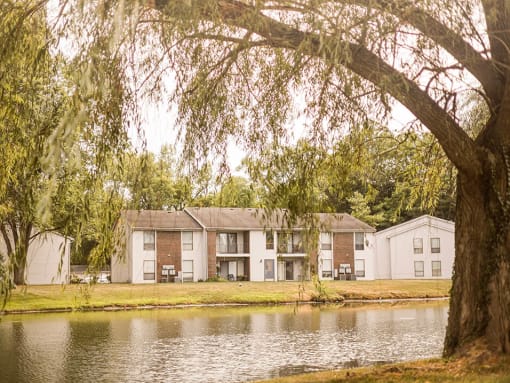 stocked pond at willow crossings apartments 