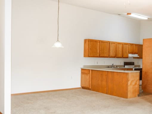 Large open kitchen and dining area