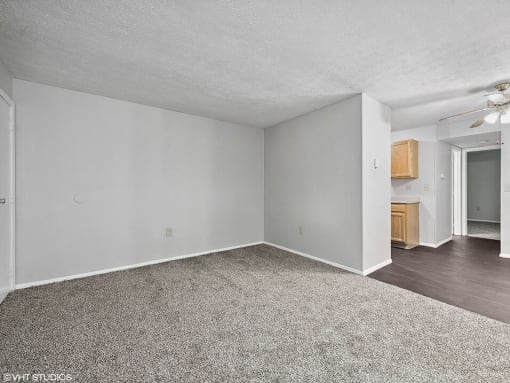 apartment living room with white walls