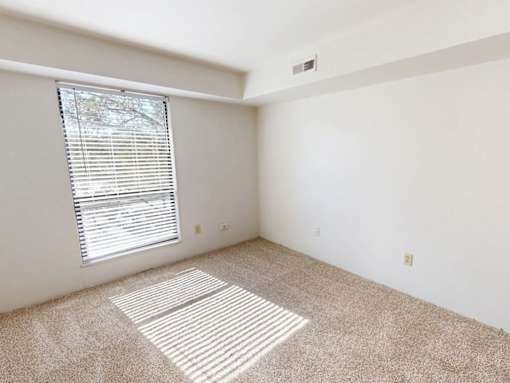 A room with a window covered by blinds and a carpet on the floor.