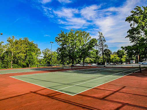 A tennis court with a green and red surface surrounded by trees.