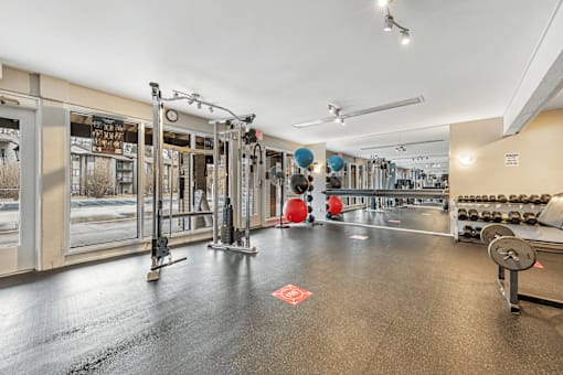 A gym with a variety of equipment including a squat rack, a bench, and a barbell.