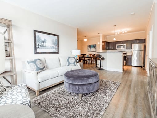 apartment living room with a couch