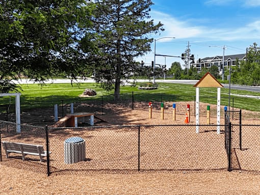A dog park with agility course.