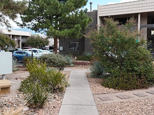 A concrete walkway leads through a landscaped area with a variety of shrubs and trees.