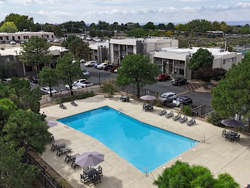 A large swimming pool surrounded by trees and lounge chairs.