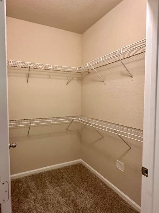 Empty walk-in closet with white shelves and carpeted floor.