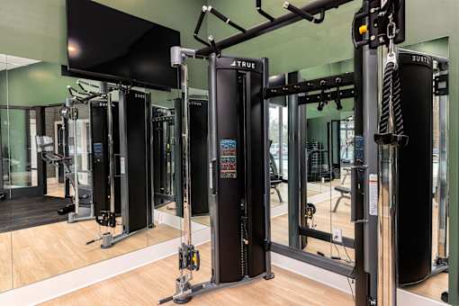 A gym with a mirrored wall and a row of squat racks.