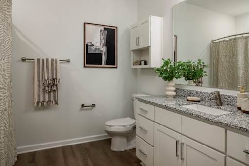 A bathroom with a toilet, sink, and a plant.