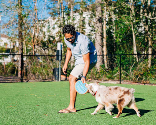 A man playing frisbee with his dog in a park.