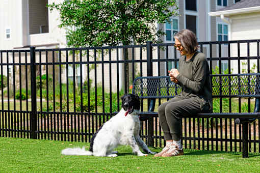 A woman sitting on a bench with her dog.