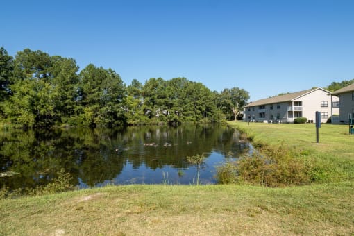 a pond in front of a house with a building in the background