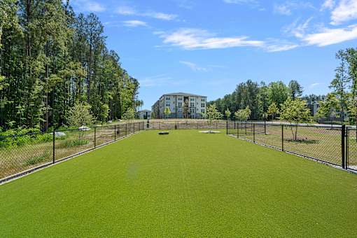 A green lawn in front of a building with trees on the sides.