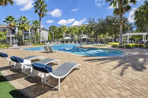 Pool surrounded by palm trees and lounge chairs with blue cushions.
