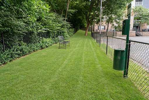 A green grassy area with a bench and a fence.