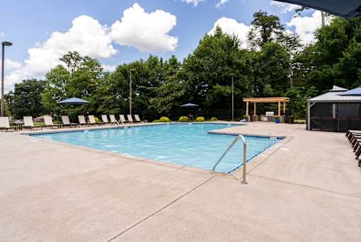 A large outdoor swimming pool surrounded by trees and a wooden structure.
