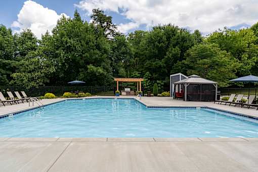 A large swimming pool surrounded by trees and lounge chairs.