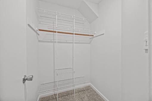 A white walk-in closet with shelves and a carpeted floor.