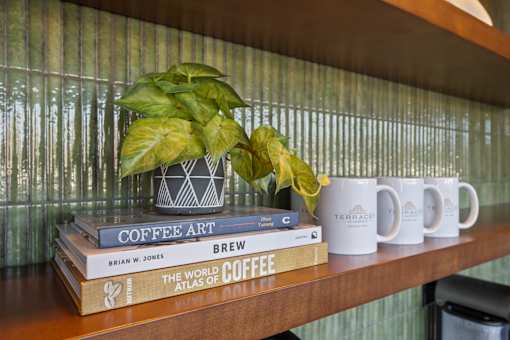 A shelf with books and mugs on it.