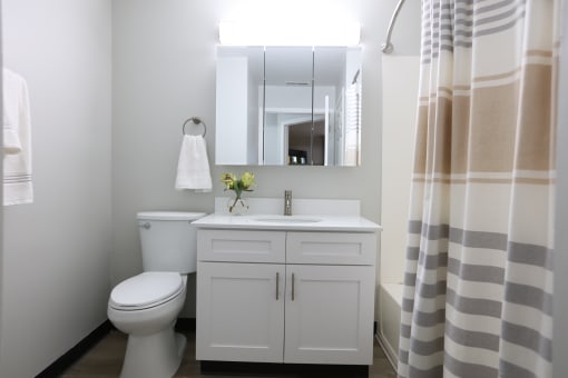 a bathroom with a white sink and toilet and a shower curtain at Evergreen Luxury Apartments, Indiana