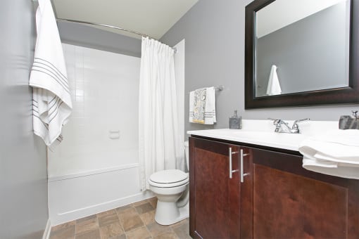 Bathroom at Brookdale Lakes, Naperville, Illinois