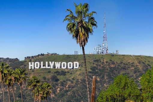 A palm tree stands in front of the Hollywood sign.