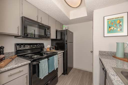 Fusion 35 kitchen with a black stove and a black refrigerator.