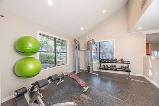 Fusion 35 gym with a bench, weights, and exercise balls.