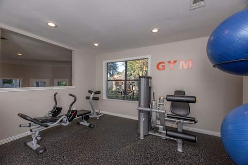 Fusion 35 gym room with a blue exercise ball and a mirror on the wall.