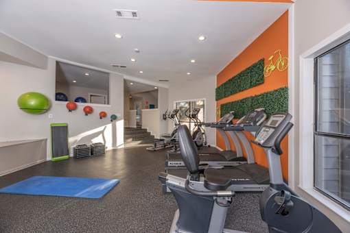 Fusion 35 gym with a row of treadmills and exercise balls on the wall.