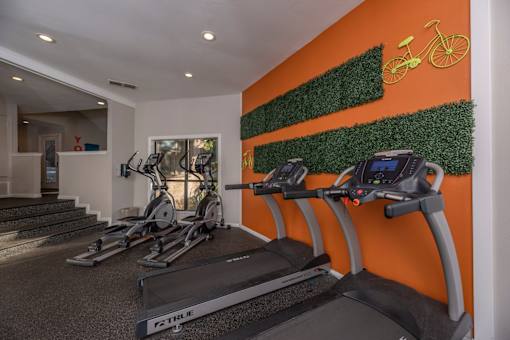 Fusion 35 gym with treadmills and exercise bikes.