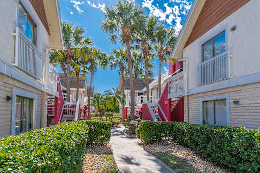 A sunny day at a residential area with palm trees and apartment buildings.