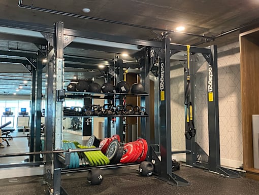 Fusion Hollywood Apartments gym with a weight rack and weights on the floor.