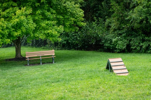a park bench and a picnic table in a grassy area
