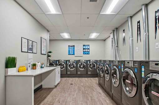A laundromat with a row of washing machines and a white counter with some plants on it.