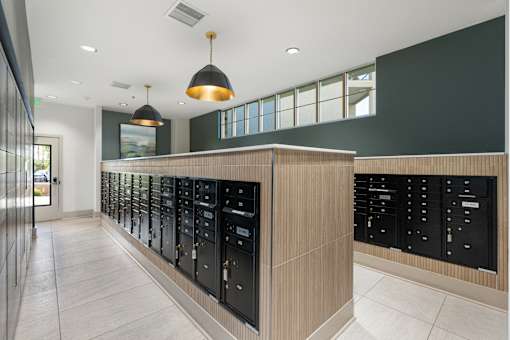 A row of black lockers are lined up against a wall.