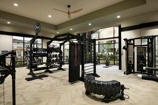 A gym with a variety of equipment including a squat rack, bench press, and a rowing machine.