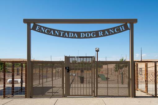 The entrance to the Encantada Dog Ranch is secured with a metal gate.