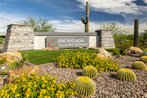 a view of the encantada saguaro national sign