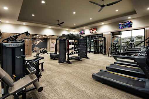 A gym with a variety of equipment including treadmills, weights, and a television.