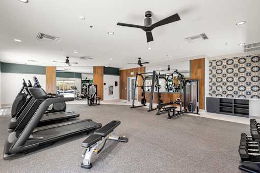A spacious gym with treadmills, weights, and exercise equipment.