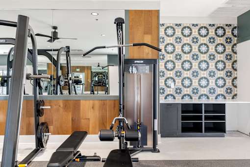A gym with a variety of equipment including a squat rack, bench, and weights.