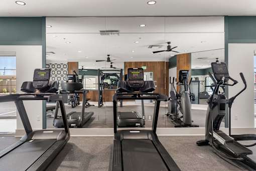 A gym with treadmills and elliptical machines.