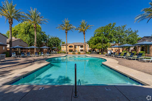 A large swimming pool surrounded by palm trees and lounge chairs.