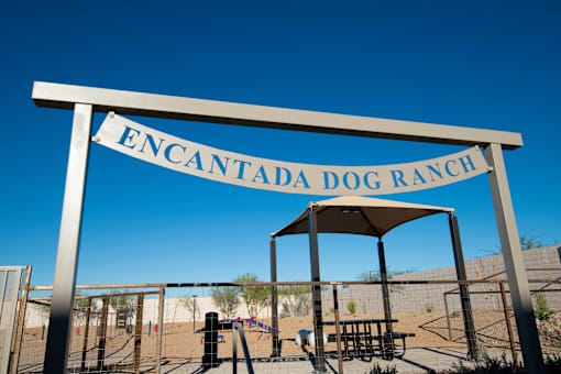 A sign that says "Encantada Dog Ranch" is displayed.