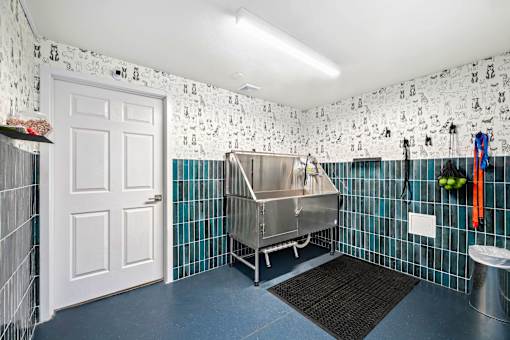 A bathroom with a white door and a blue floor.