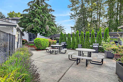 A concrete patio with picnic tables and a fence.