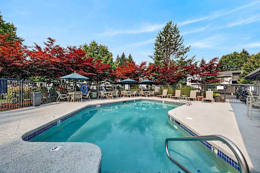 A swimming pool surrounded by trees with red leaves.