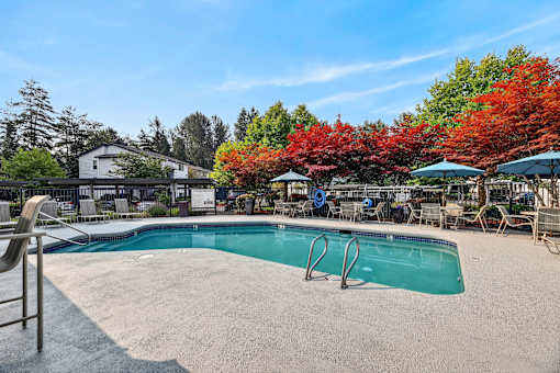A pool surrounded by trees with red leaves.